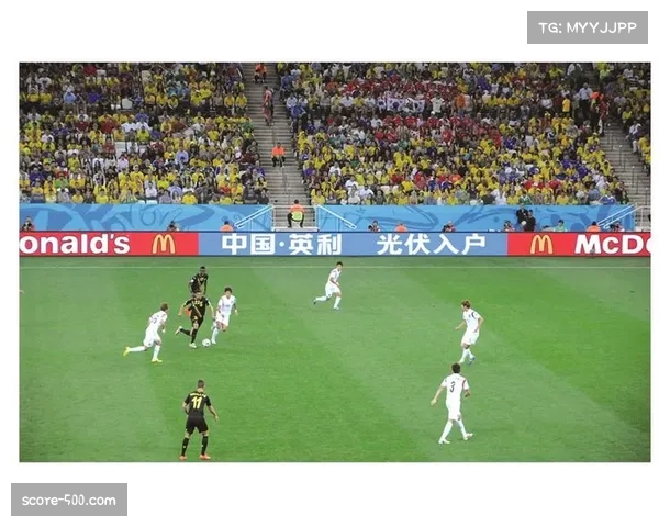 中国企业对赞助体系参与度提高 区域赞助商概念首次引入 中国企业对赞助体系参与度提高 区域赞助商概念首次引入